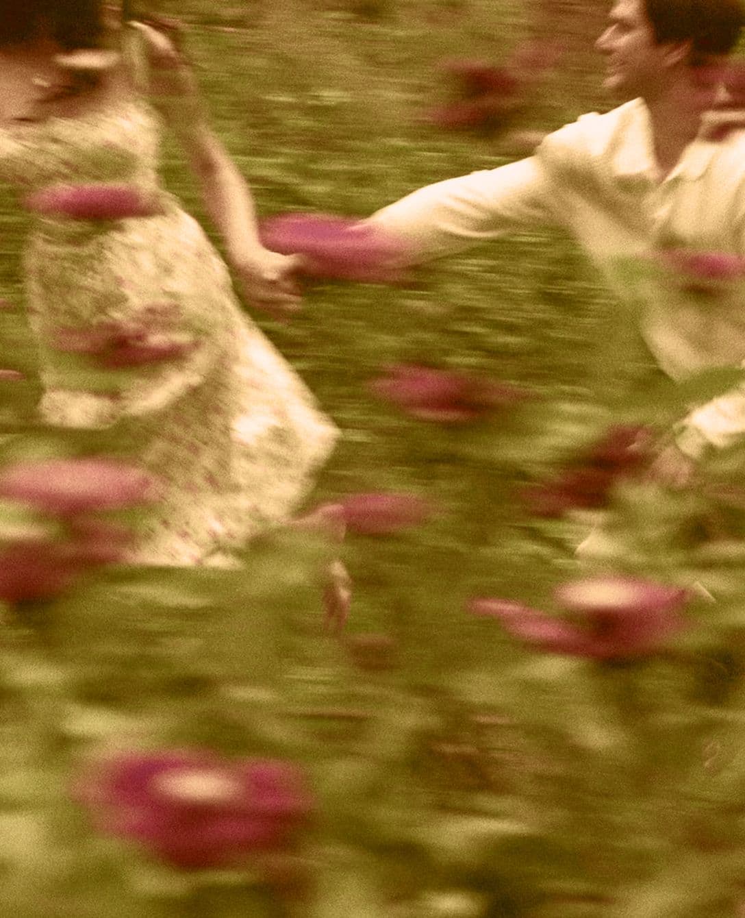 a field, a song nobody remembers and no reason to stop.