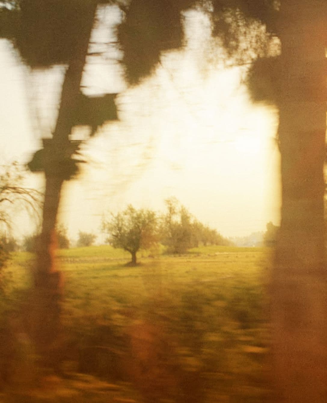 the road home, the sun in the glass, everything gold for a minute.